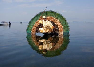 Inle Fishing Bird (Burma)